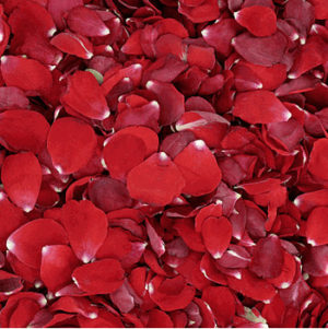 Rose Petals