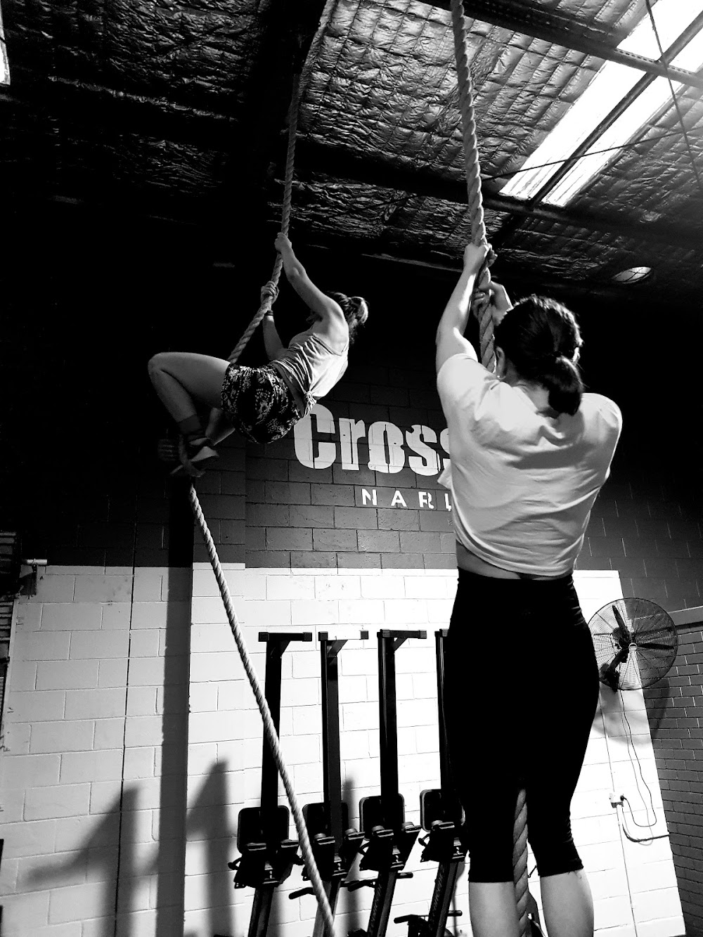 CrossFit Narlie