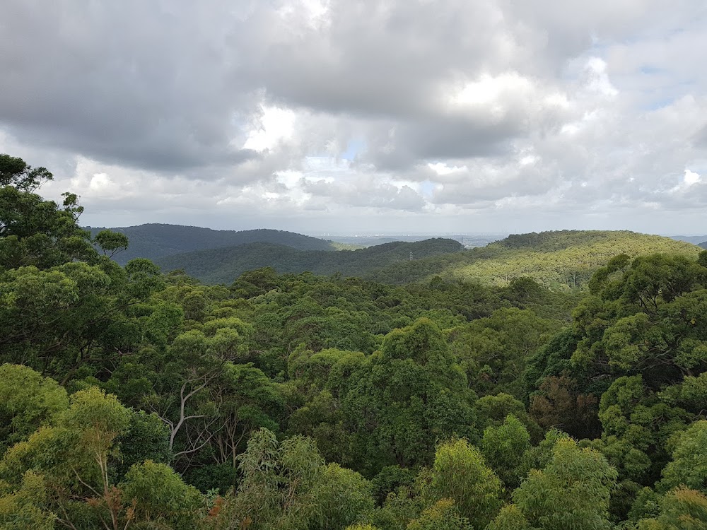 Hilltop on Tamborine