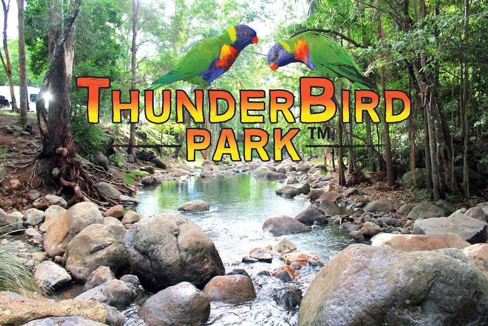 Thunderbird Park